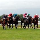 Lee Callaway urges Mae Jinx towards the line to win the listed Berkley Stud Stakes at Wingatui...