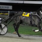 Leif Erikson (Jonny Cox) wins at Forbury Park on August 16. He rates highly in race 7 at Gore...