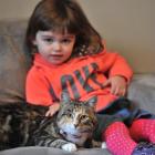 Lily O'Dell-Harvey (3) is happy to be reunited with her cat, Goobah. Photo by Linda Robertson.
