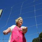 Lois Kinraid looks through the hole cut in her fence by poachers, who stole deer from her Dunedin...