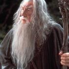 lotr_gandalf.JPG