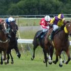 Make It Happen pulls away from her rivals in a 1250m maiden race at Waikouaiti yesterday. Photo...