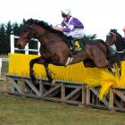 Man O' Mann, a steeplechase winner at Oamaru last month and top weight for the first race, a...