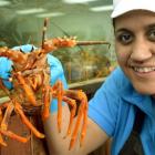 Maria Birch-Morunga, of Harbour Fish, shows off a fresh crayfish. Photo by Stephen Jaquiery.
