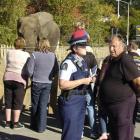 Members of the public view Jumbo the elephant in The Kensington pub car park in Dunedin yesterday...