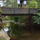 Mica Goldsmith and Emma O’Malley, both of Dunedin, pause while enjoying the  ‘‘Creekfest — Love...