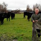 Middlemarch farmer Lindsay Carruthers, pictured with his Angus cattle, welcomes any attempt to...