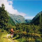 Milford_track.jpg