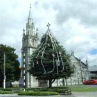 Milton's living Christmas tree in the grounds of the Tokomairiro Presbyterian Church was...