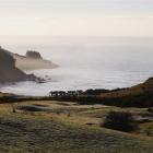 Mist rises over the coast between Warrington and Karitane, north of Dunedin. Photo by Getty Images.
