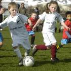 Mitchell Thorn (left), with the ball,  and Zhia Mowat in action during the Otago Daily Times Mini...