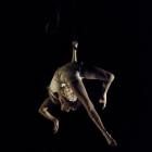 Montreal-based Vague de Cirque will perform its Carousel and Clothesline show as part of the 2014...