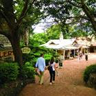 Montville is a cracker of a town to visit in the Sunshine Coast's hinterland.