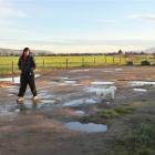 Mosgiel woman Justine Ralston and her dogs Amie (left) and Mac enjoy a stroll through land near...
