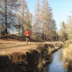 Naseby's water supply comes from a water race which flows through the Naseby Forest. Heavy rain...