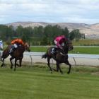 Natuzzi, seen here bounding clear at Omakau in January, steps up to the North Island sprinters at...