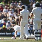 Neil Wagner (C) checks on Australia's Steve Smith after hitting him on the helmet with a short...