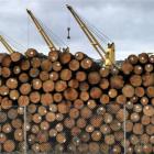 New Zealand's primary exports are tipped to fetch a record income this year. Photo by Gerard O...