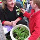 No waste: Port Chalmers Kindergarten children Liam Bryant-Landreth (foreground) and Hugh Gardiner...