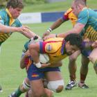 North Otago captain and No 8 Joe Mamea, pictured on the charge against Mid Canterbury last year,...