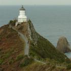 nugget_point_is_under_pressure_from_tourists__1257900813.JPG