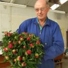 Omeo Peonies co-owner Tony Banks, of Earnscleugh, prepares a bunch of freshly picked peonies for...