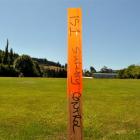 One of about a dozen survey posts which were dotted about the southern end of Kaikorai Valley...