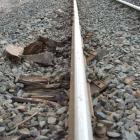 One-third of the sleepers on a 16.5km stretch of main-line track between Clinton and Balclutha...