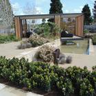 Open Woodland was the best in show feature garden in Sydney. Photos by Gillian Vine.