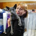 Oriental Blue Champion Zjadez Man of the Moment, or Jasper, is pictured with his owner Roslyn...