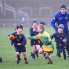 Otago cricket captain Craig Cumming helps control the under-7 rippa rugby game between the...
