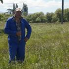 Otago Federated Farmers dairy chairman Stephen Crawford says this paddock should have been...