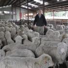Otago merino farmer John Perriam, who says strong wool growers can learn from the experience of...