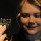 Otago Museum shop communicator Sarah Harkness  displays a grey polished steel 3-D printed giraffe...