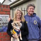Otago rugby supporters Margaret Grundy, Stu Carse and their chihuahua-maltese cross Emma show...