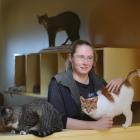 Otago SPCA animal attendant Donna Hurring with three of the nearly 350 cats which have...