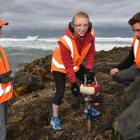 Otago University masters student Julia Moloney drills into St Clair’s rocks watched by Prof Mike...