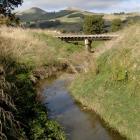 Owhiro Stream, over which the developer would build a bridge or culvert. Photo by ODT.