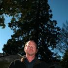 Pact property manager Ferdi Koen is dwarfed by a  wellingtonia tree which is to be cut down....