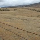 Parched land at Roxburgh East. Photos by Lynda Van Kempen / Rosie Manins.