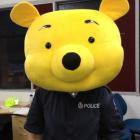 Part of a large Winnie the Pooh costume recovered by Hamilton police. Photo NZ police