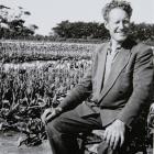 Patriarch of van Eeden Tulips  the late Jacques van Eeden pictured at his West Plains property,...