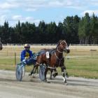 Pembrook's Delight winning at Roxburgh in January. Photo by Matt Smith.