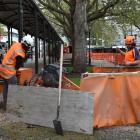 Photo by Gregor Richardson.