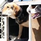 Photo by Sarah Marquet.