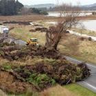 Photo by Stephen Jaquiery.