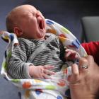 Photos by Craig Baxter.