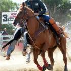 Pick-up rider Paul Robinson assists a cowboy from his bucking bronc. Photos by Peter McIntosh.