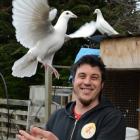 Pigeon racer Ben Johnston, a member of the Mosgiel Homing Pigeon Club, with some of his pigeons...