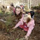 Pine Hill School pupils Jasmine Mumford (10), left, and Holly Bliss (5) plant native shrubs at...